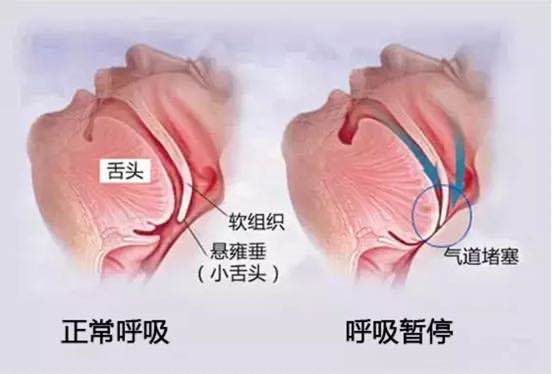 微信图片_20200603093436.jpg